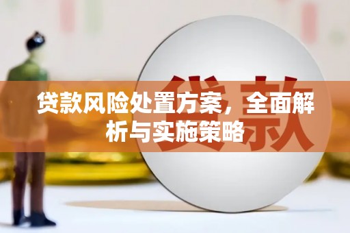 安阳贷款风险处置方案，全面解析与实施策略